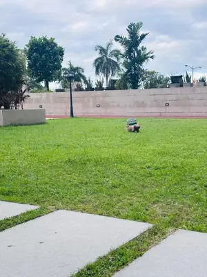 a park with a bench in the grass at H Cloud Suites Monarch Parksuites near MOA and Casino City in Manila