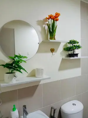 a bathroom with a toilet and a mirror and flowers at JFam Suites, C2-5F 1BR , Up To 6 Pax in Biñan