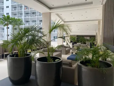 two large black pots with palm trees in a lobby at Near MOA - Cozy Staycation 22D in Manila