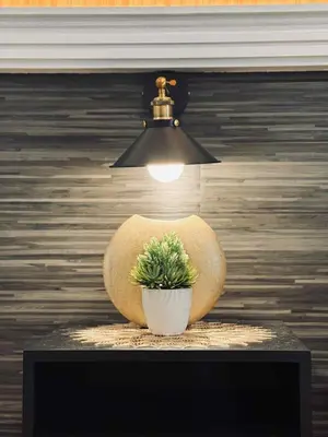 a potted plant sitting on a table under a lamp at Horiyama staycation azure in Manila