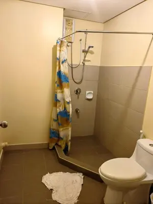 a bathroom with a toilet and a shower at unit 130 Studio Type Avida Cityflex BGC in Manila