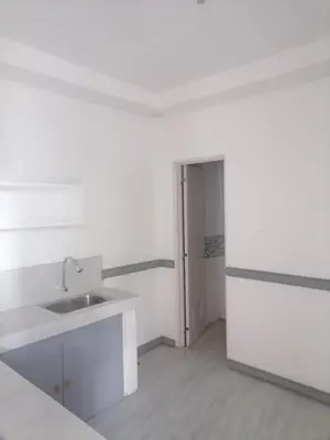 a white kitchen with a sink and a door at Alexander Dones Apartment in Sangley Point Naval Station