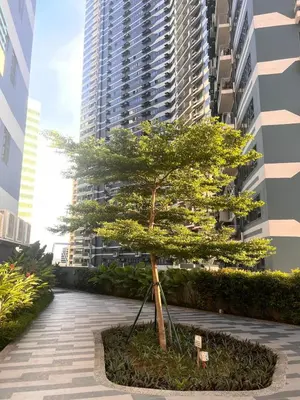 a tree in front of a tall building at Pleasant Air Residences City View in Sampong