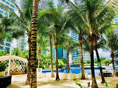 a group of palm trees in front of a pool at Azure Urban Resort Residences Parañaque City near NAIA Airport in Manila