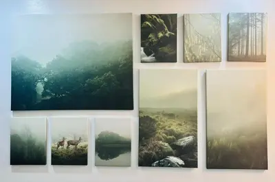 a collage of pictures of trees and animals at Layover at 1146 in Manila