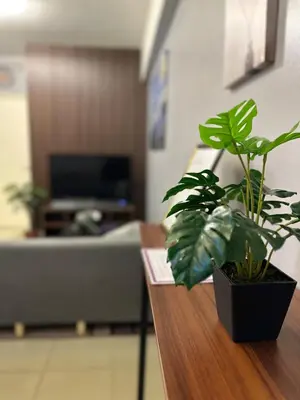 a living room with a couch and a table with a plant at Ezras Place Modern Condo with City views in Manila
