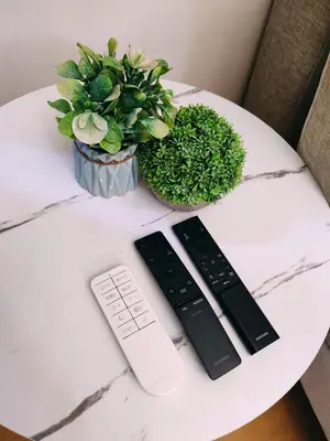 a table with two remote controls and a vase of plants at Charming 2BR Condo in Cambridge with WIFI, Smart TV in Cainta