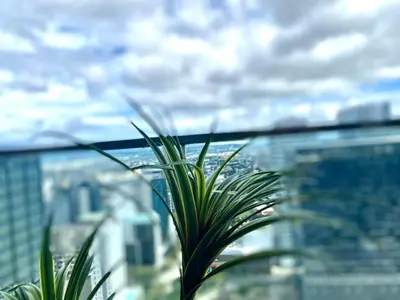 a plant sitting on top of a building at Uptown Parksuites Posh Modern Minimalist in Manila