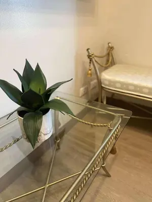 a glass coffee table with a potted plant on it at The Cozy Rustic in General Trias