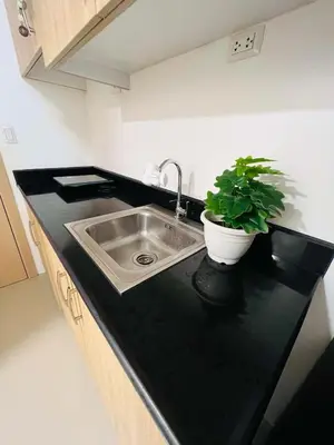 a kitchen with a sink and a potted plant on the counter at Sarah's Place at Light Residences in Manila