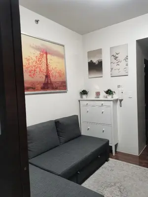 a living room with a couch and a picture of the eiffel tower at 