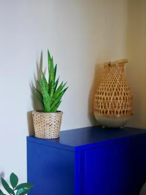 a blue cabinet with a plant and a vase on it at Whimsy Stay in Manila