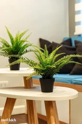 two potted plants on two tables in a living room at UP TO 6 PAX! Spacious Loft 2 BR near High Street, BGC Fort Victoria The Fort, Taguig City in Manila