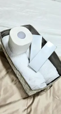 a tray with a roll of toilet paper and papers at Cozy Modern Studio Two Palm Tree Villas in Manila