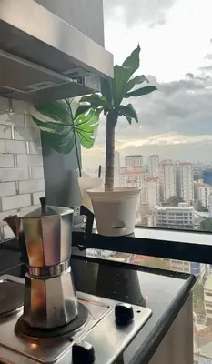 a blender on a counter with a potted plant on a window at City Escape by Fame in Manila