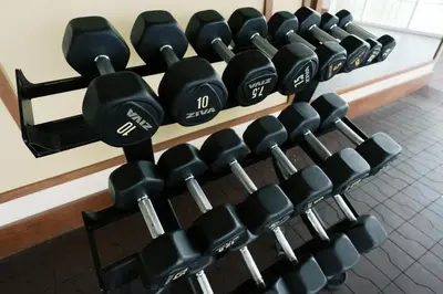 a bunch of dumbbells hanging on a wall at Mellow Dreams in Manila