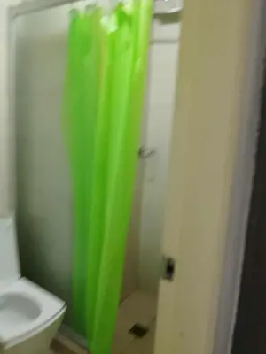 a green shower curtain in a bathroom with a toilet at Birch tower condo for renting in Manila