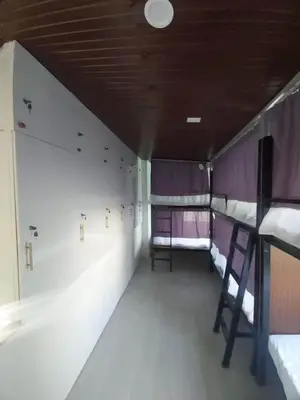 a row of bunk beds in a room with purple and white walls at Fernica Boarding House in Carmona
