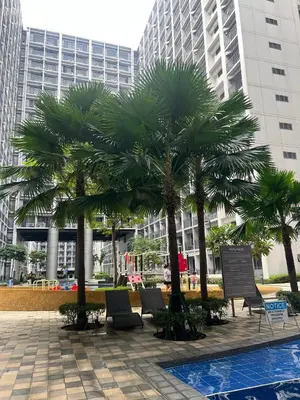 a group of palm trees in front of a building at Althalia Grandsuites Staycation in Manila
