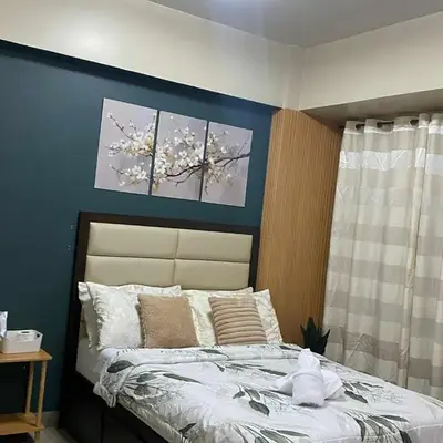 Palme d'Or Stay