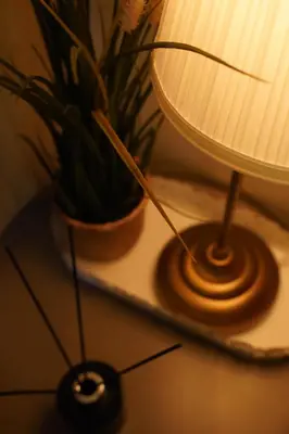 a table with a lamp and a potted plant at SMDC LIGHT Balcony Smart TV Alexa Cozy Retreat in Manila