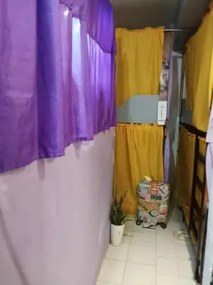 a hallway with colorful curtains and a potted plant at SL Bedspace Transient House in Manila