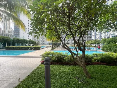 a tree next to a swimming pool in a building at Jazz Residences Condo in Manila