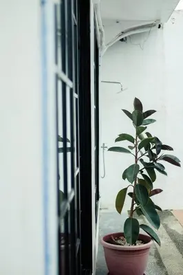 a plant in a pot sitting on a window sill at Hidden Leaf Private Resort in Dasmariñas