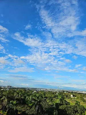 a field of palm trees under a blue sky at Your Cozy Space in Stanford Suites 3 Brgy Inchican Silang Cavite in Silang