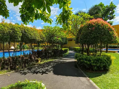 a walkway through a garden with trees and a pool at The Cube at 15th in Taytay