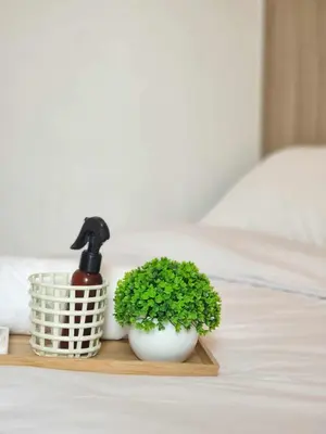 a plant and a spray bottle on a wooden tray at 953 D shore 1 in Manila