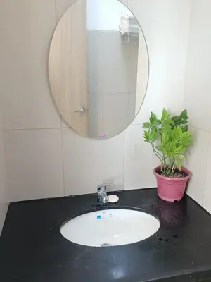 a bathroom sink with a mirror and a potted plant at Your Home Near the Airport in Manila