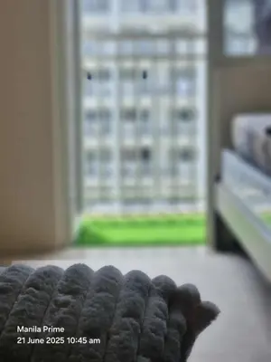 a close up of a rug in front of a window at 1586 Shore Residences tower C2 in Manila