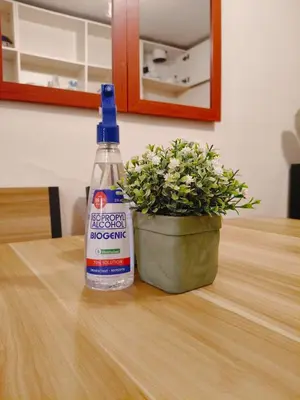 a bottle of detergent next to a plant on a table at Holland Park staycation in Jalang