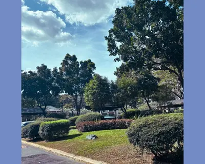 a view of a park with trees and bushes at Modern 2BR Condo in Acacia Estate, Quiet & Green in Manila