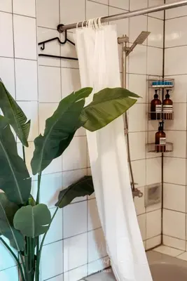 a plant in a bathroom with a shower curtain at Hidden Gem - Spacious Penthouse with Siargao Vibe in Manila