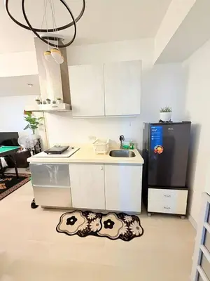 a kitchen with a dog rug on the floor at Azure Destiny's Suites 1912 in Manila