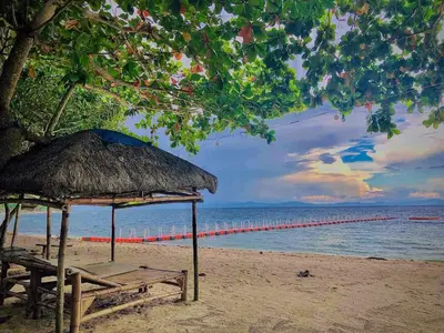 a beach with a bench and a straw umbrella at Island Garden Beach Resort in Manila