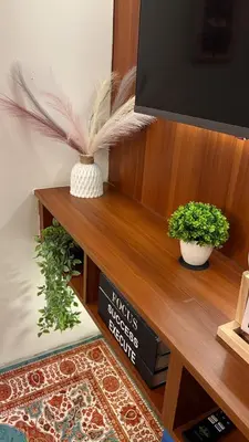 a wooden shelf with a tv and two plants on it at Rosé Nights Luxury in Manila