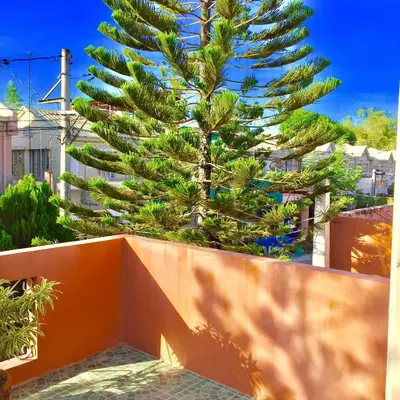 a palm tree in front of a orange fence at Entire House with 4 rooms near SM Molino and Vermosa Ayala in Imus