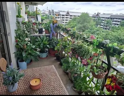 a balcony filled with lots of potted plants at Grand Apartment near BGC in Manila