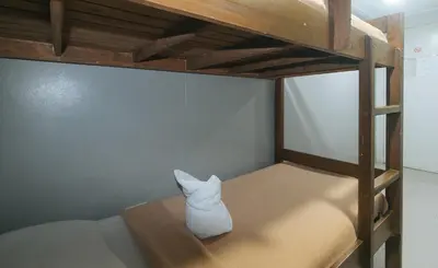 a white cat sitting on top of a bunk bed at Metro Deluxe Residences near World Trade Center in Manila