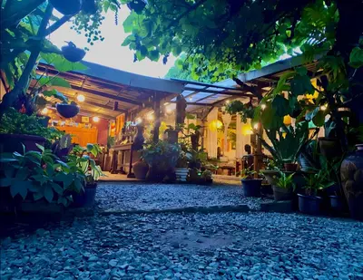 a greenhouse with a lot of plants and lights at Marius B&B & Hostel in Silang