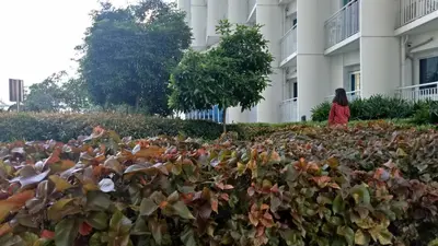 a woman walking in front of a building at Jazz Residences Condo in Manila