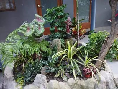 a garden with plants in a rock at The Hub District Garden Suites in Manila