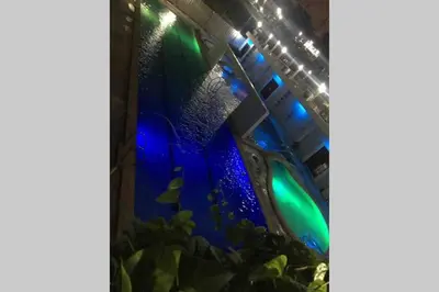 a room with a blue vase and some plants at CENTROPOLIS 4, Fun & Playful in Manila