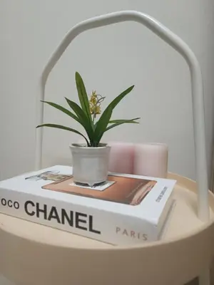 a plant sitting on top of a book on a table at SMDC Coast Residences near PICC World Trade Center MOA in Manila
