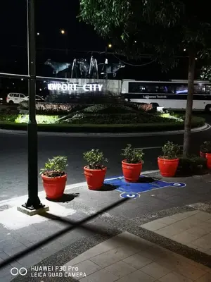 four potted plants sitting on a sidewalk next to a street at Pasay staycation @150Newport in Manila