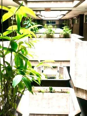 a group of potted plants on display in a building at Benson Hotel San Juan CIty in Manila