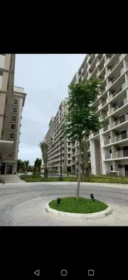 a small tree in front of a large building at Joey's Place Calathea DMCI in Manila